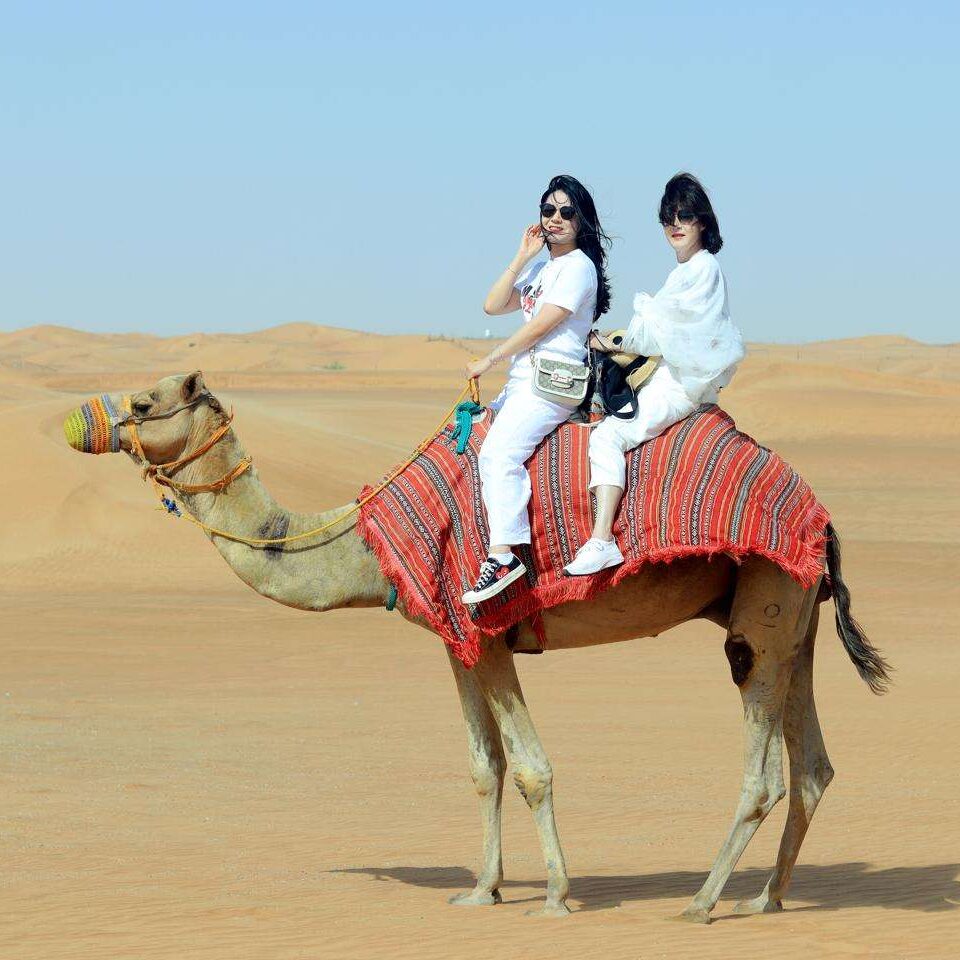 Dubais-Desert-e1727076339590.jpeg