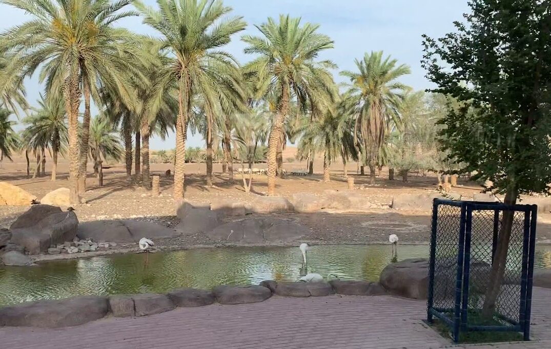 Visit Nature and Heritage Sharjah Desert Park: Tickets, Timings & More